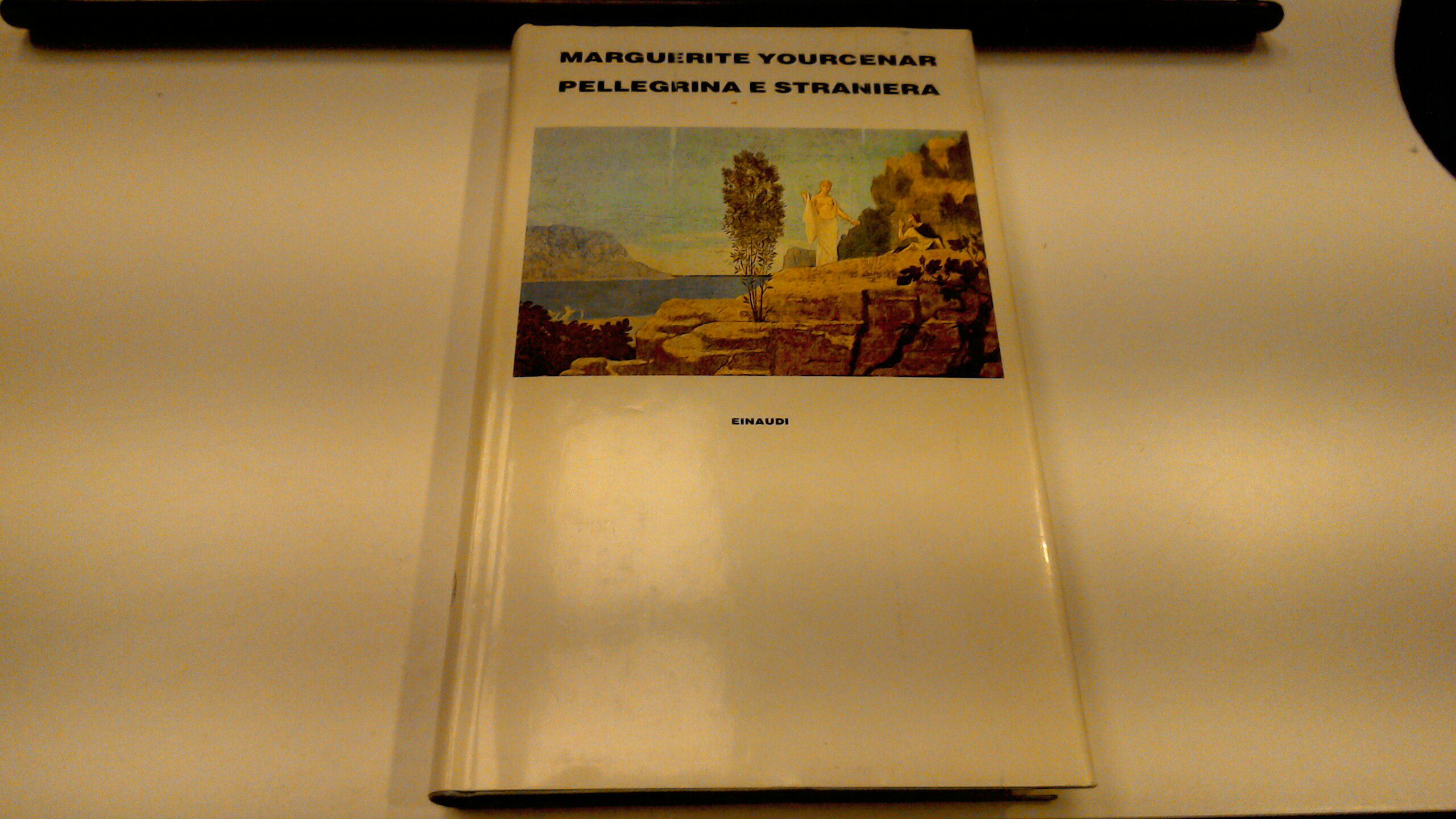 Pellegrina e straniera