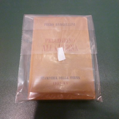 Pellegrino alla Verna