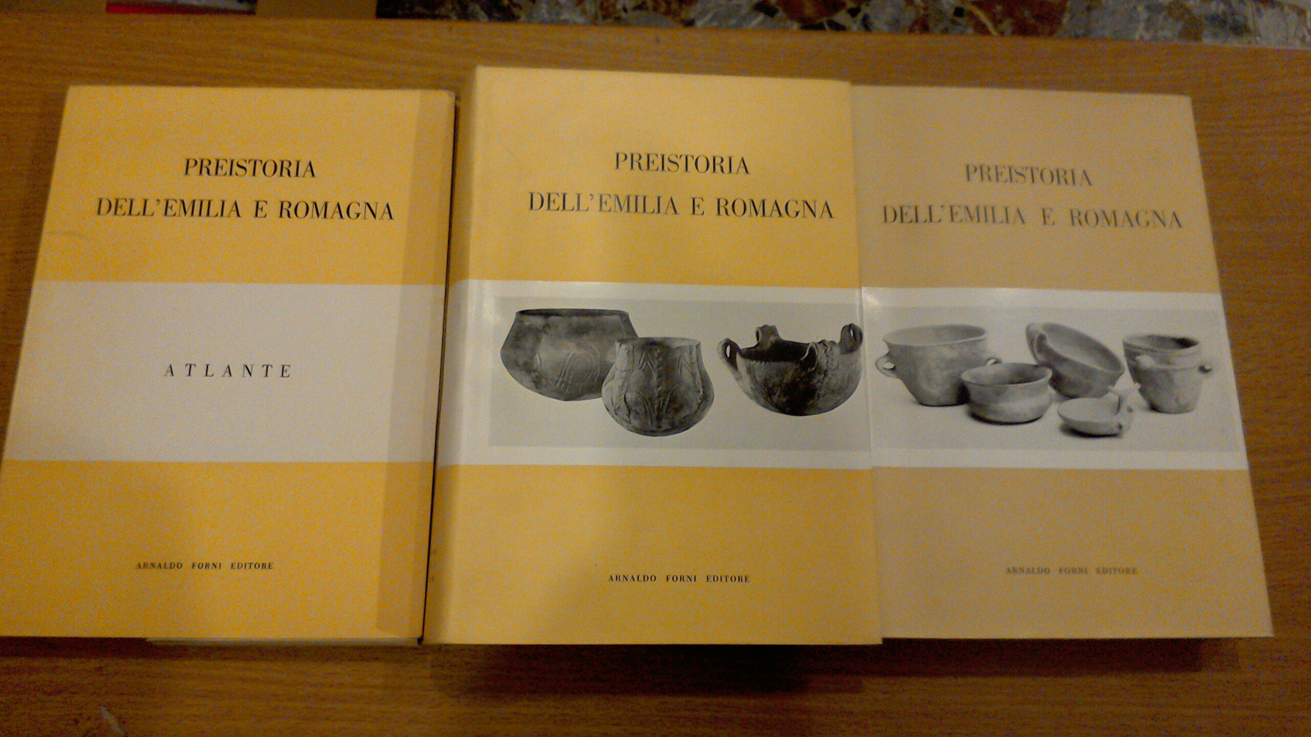 Preistoria dell'Emilia e Romagna ( 2 volumi + atlante )