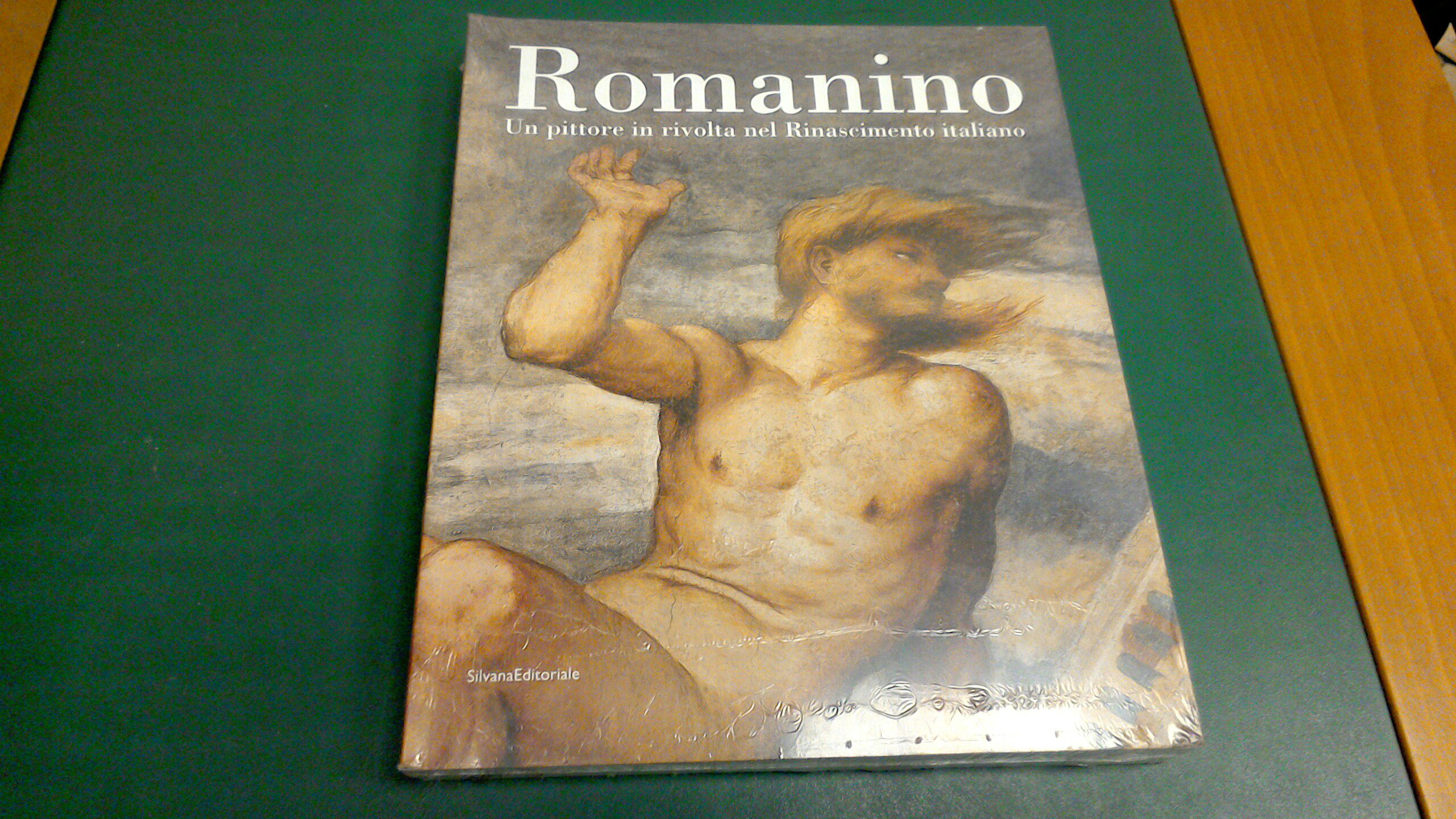 Romanino - un pittore in rivolta nel Rinascimento italiano