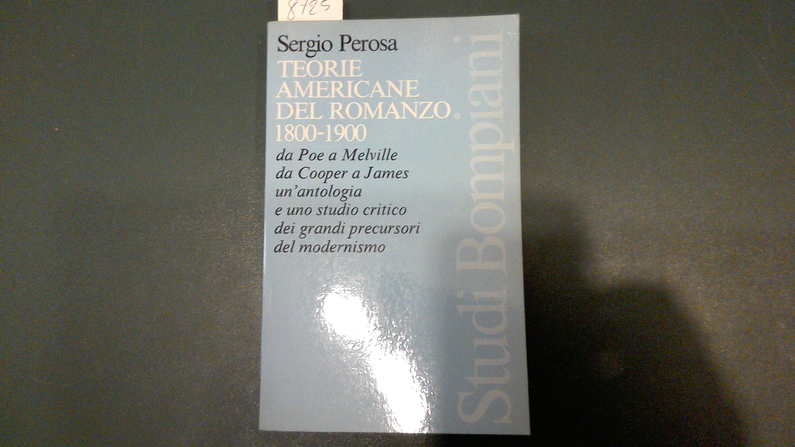 Teorie americane del romanzo 1800-1900