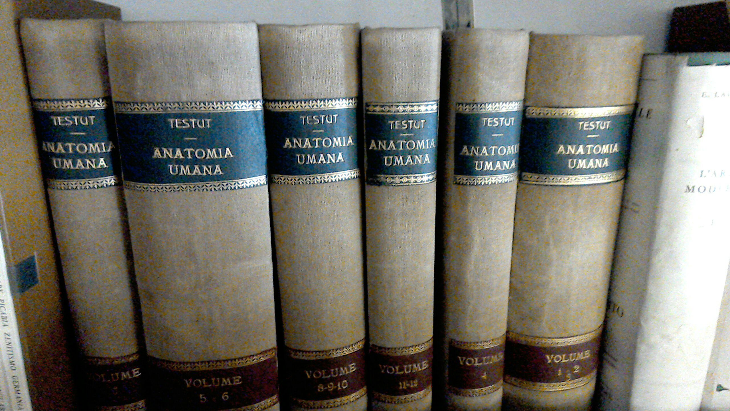 Trattato di anatomia umana ( 12 libri in 6 volumi …
