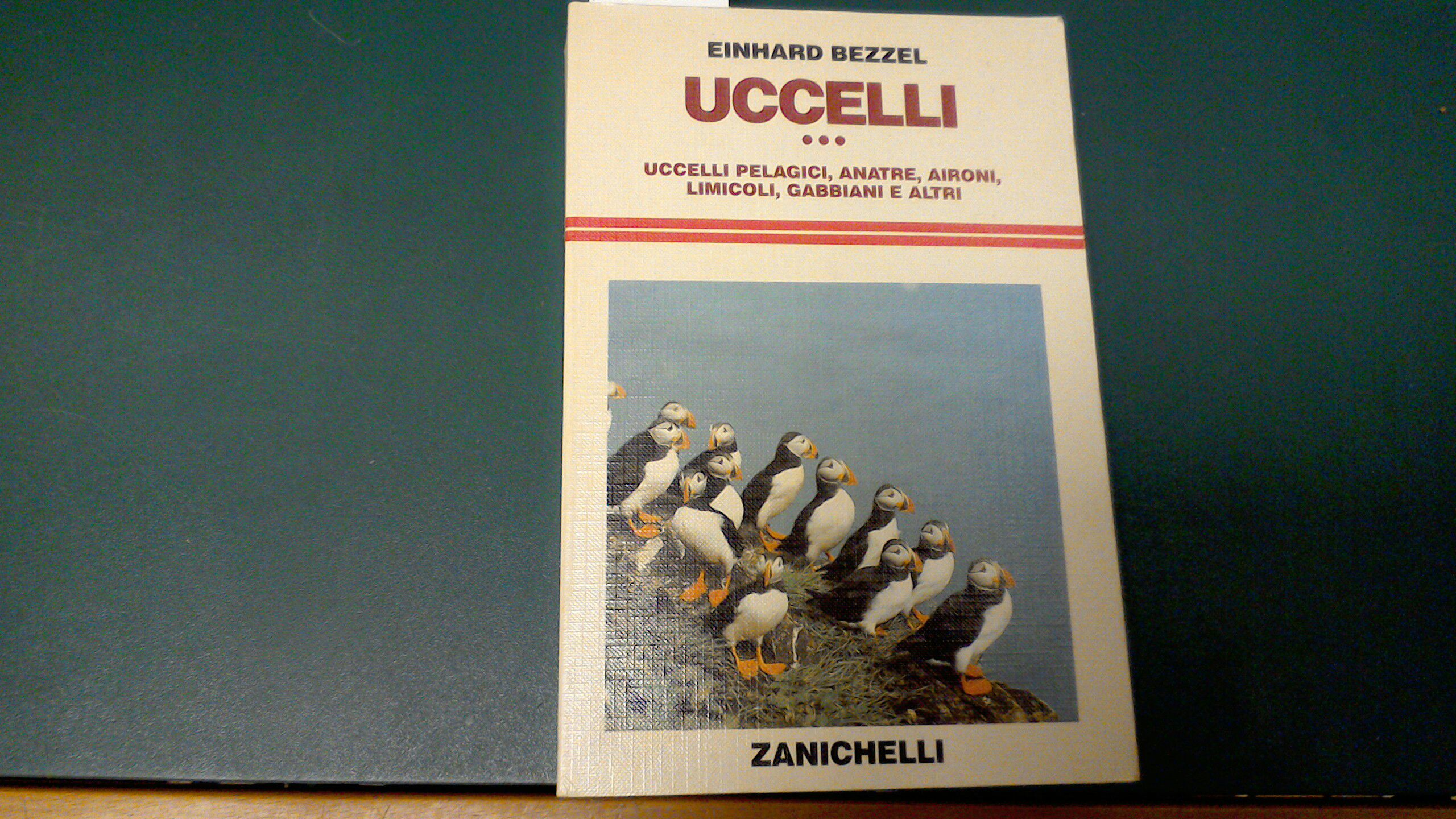 Uccelli - uccelli pelagici, anatre, aironi, limicoli, gabbiani e altri