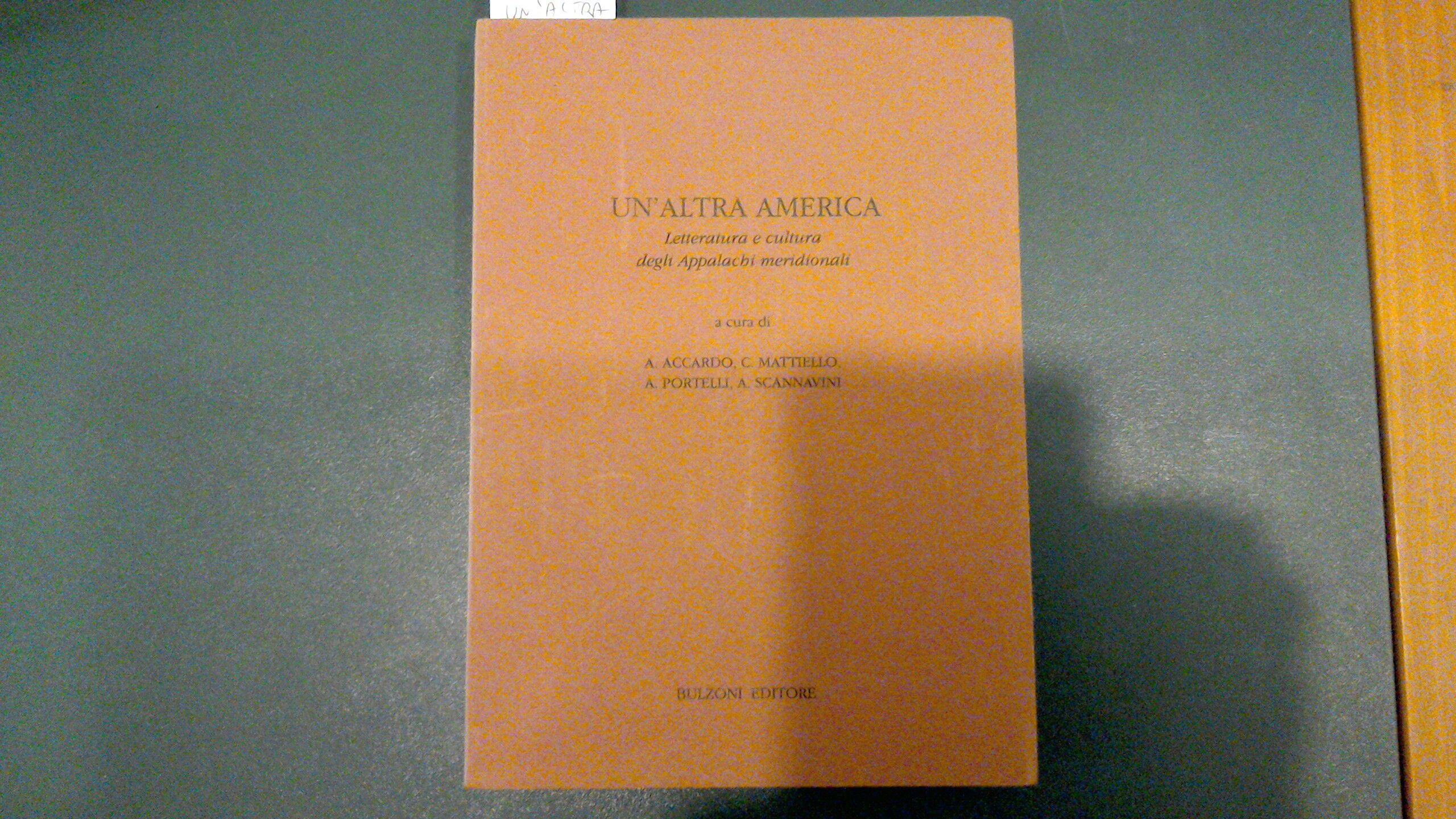 Un'altra america - letteratura e cultura degli Appalachi meridionali