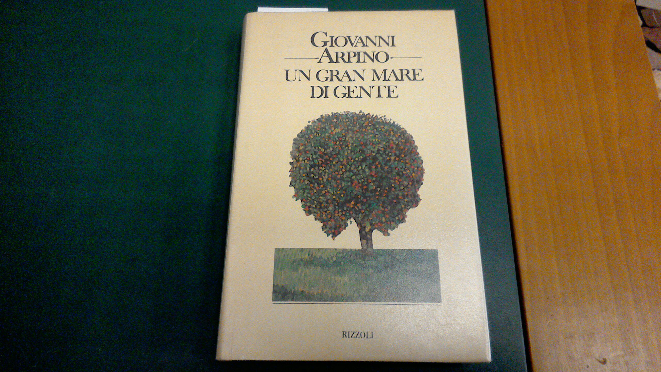 Un gran mare di gente