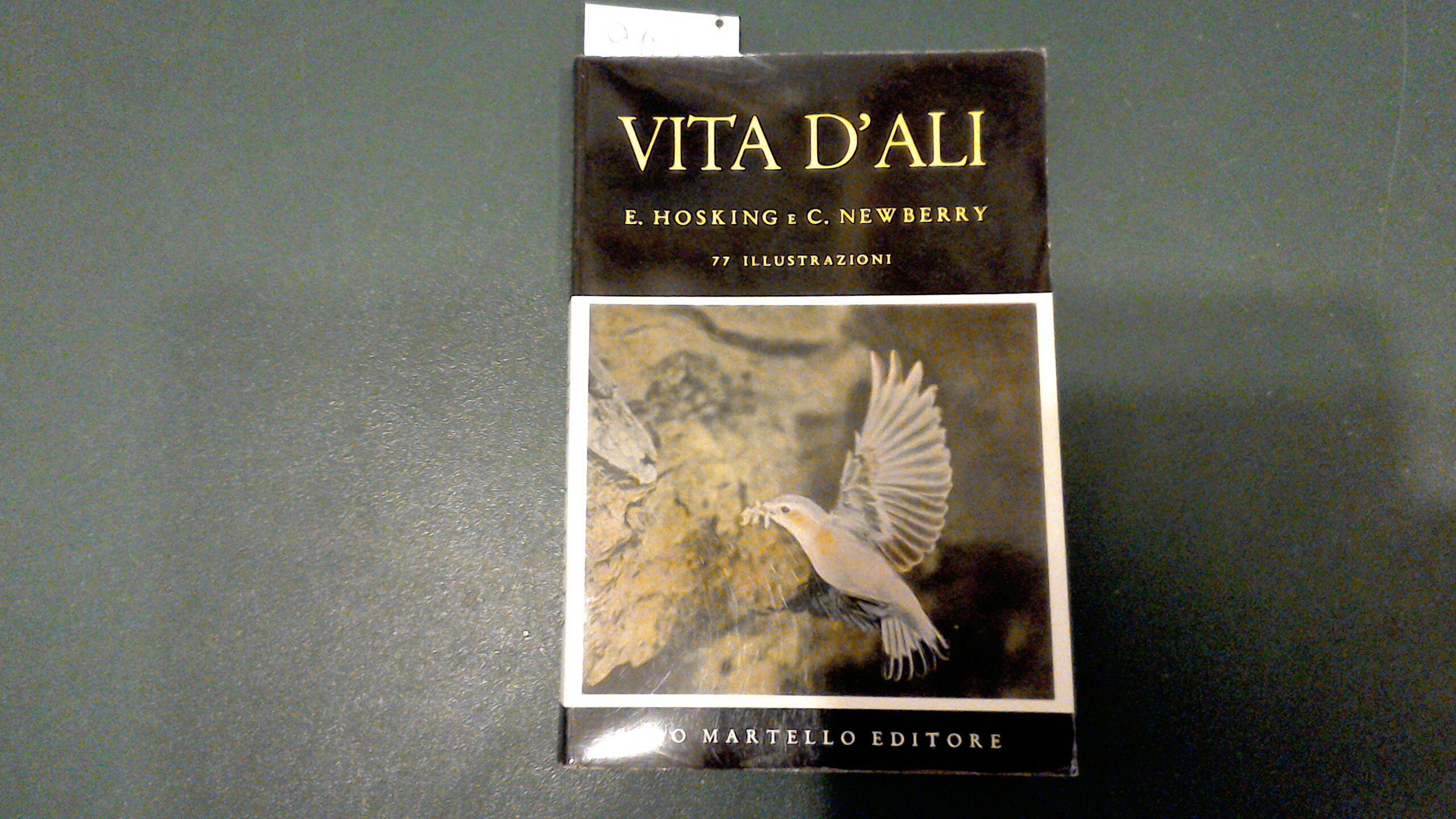 Vita d'ali