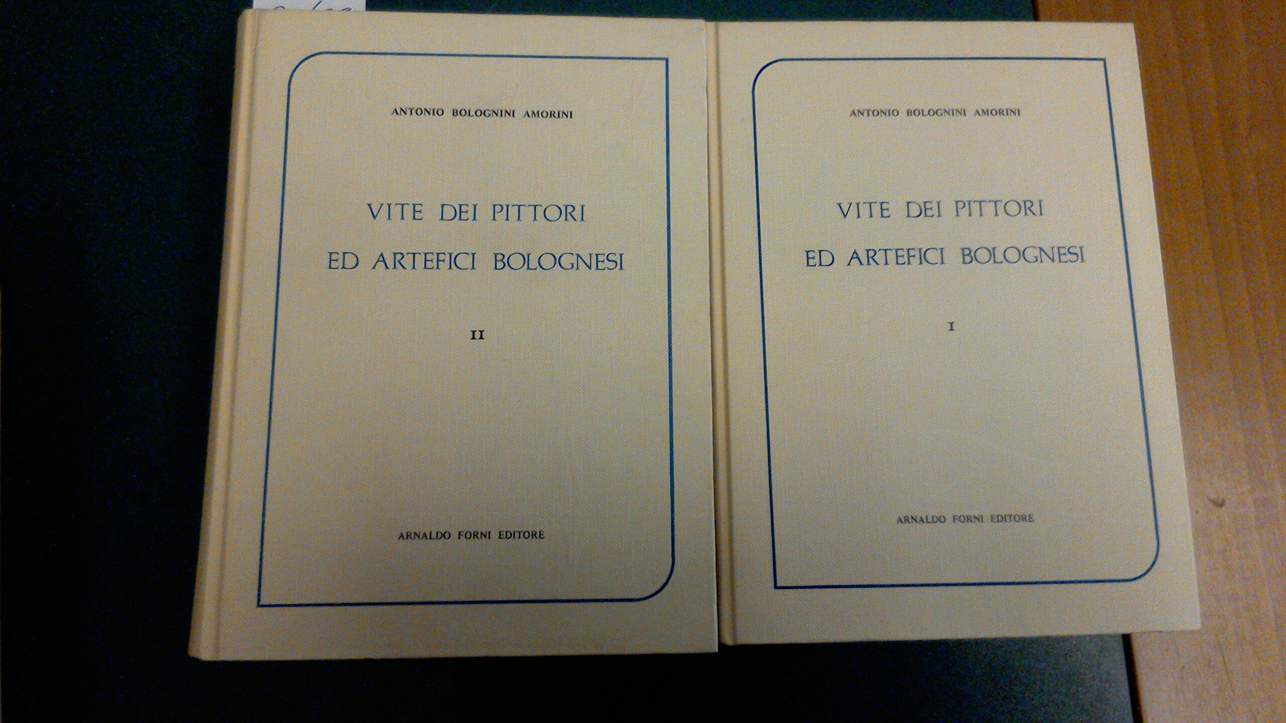 Vite dei pittori ed artefici bolognesi ( 2 volumi )