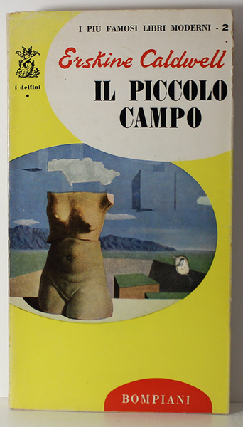 IL PICCOLO CAMPO