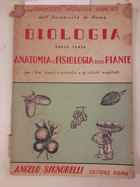 BIOLOGIA PARTE TERZA. ANATOMIA E FISIOLOGIA DELLE PIANTE PER I …