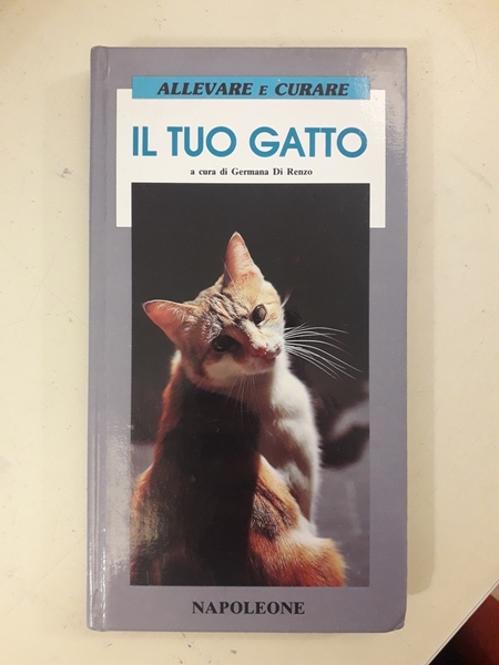 ALLEVARE E CURARE IL TUO GATTO