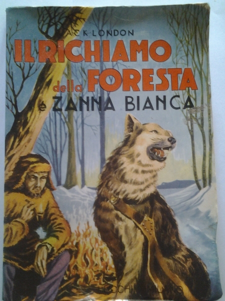 IL RICHIAMO DELLA FORESTA