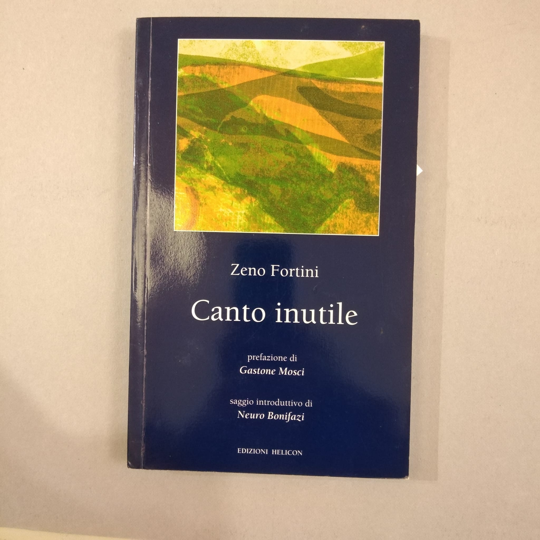 CANTO INUTILE