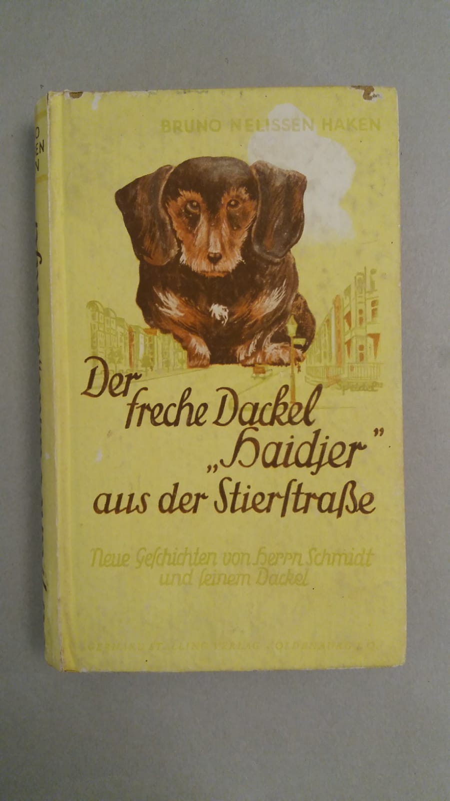 DER FRECHE DACKEL HAIDJER AUS DER STIERFRABE