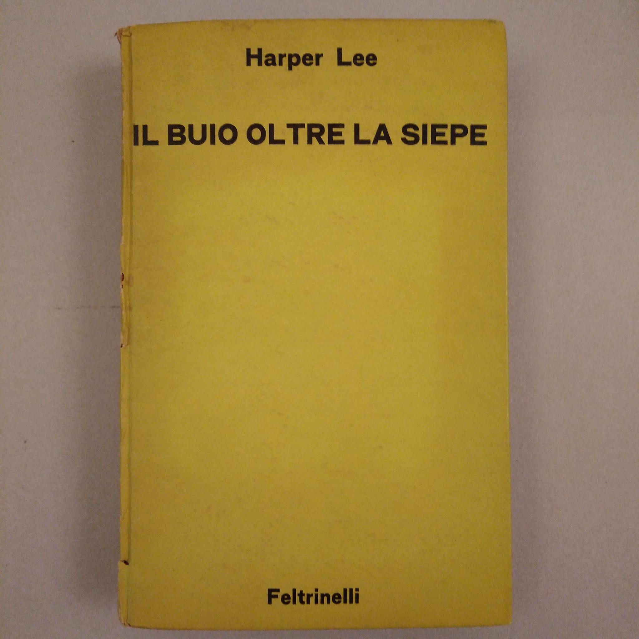 IL BUOIO OLTRE LA SIEPE