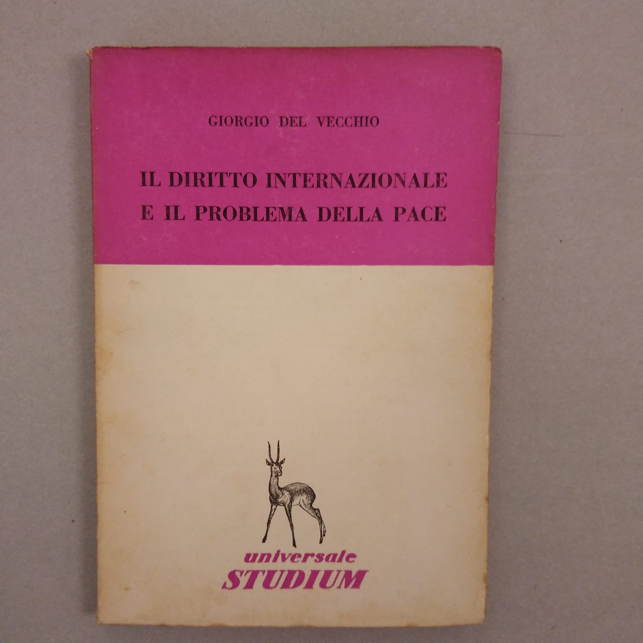 IL DIRITTO INTERNAZIONALE E IL PROBLEMA DELLA PACE