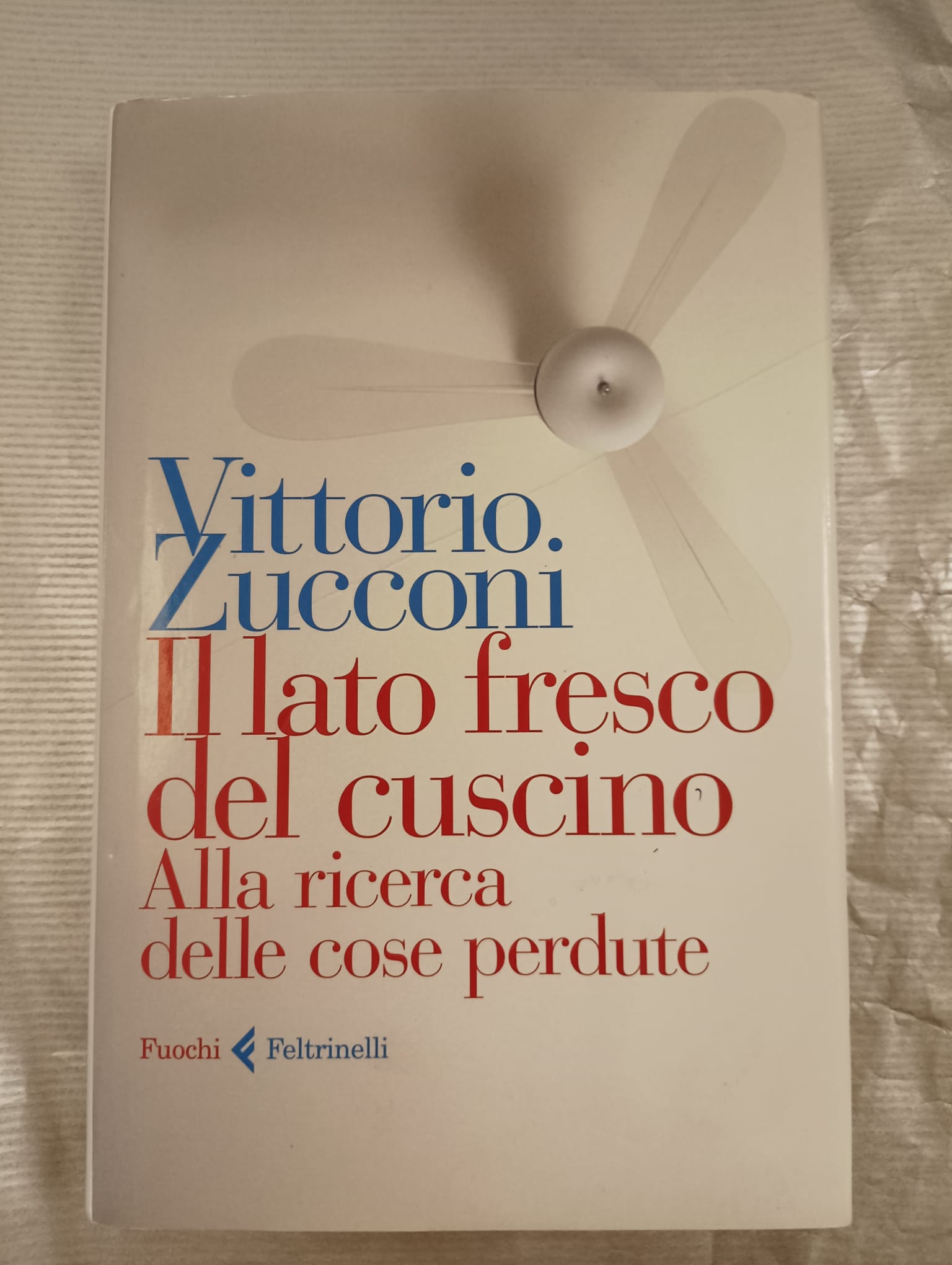 IL LATO FRESCO DEL CUSCINO. ALLA RICERCA DELLE COSE PERDUTE