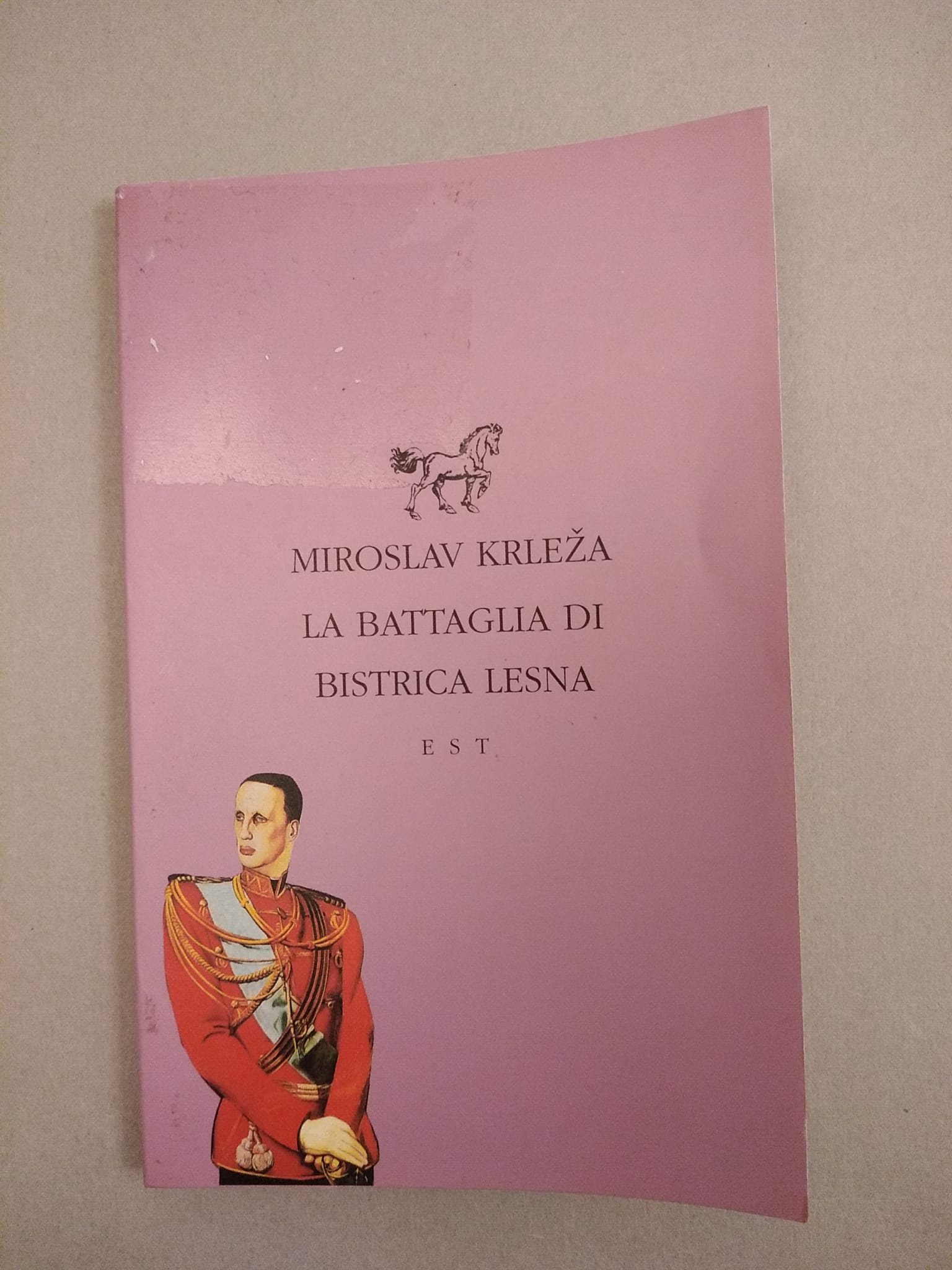 LA BATTAGLI DI BISTRICA LESNA
