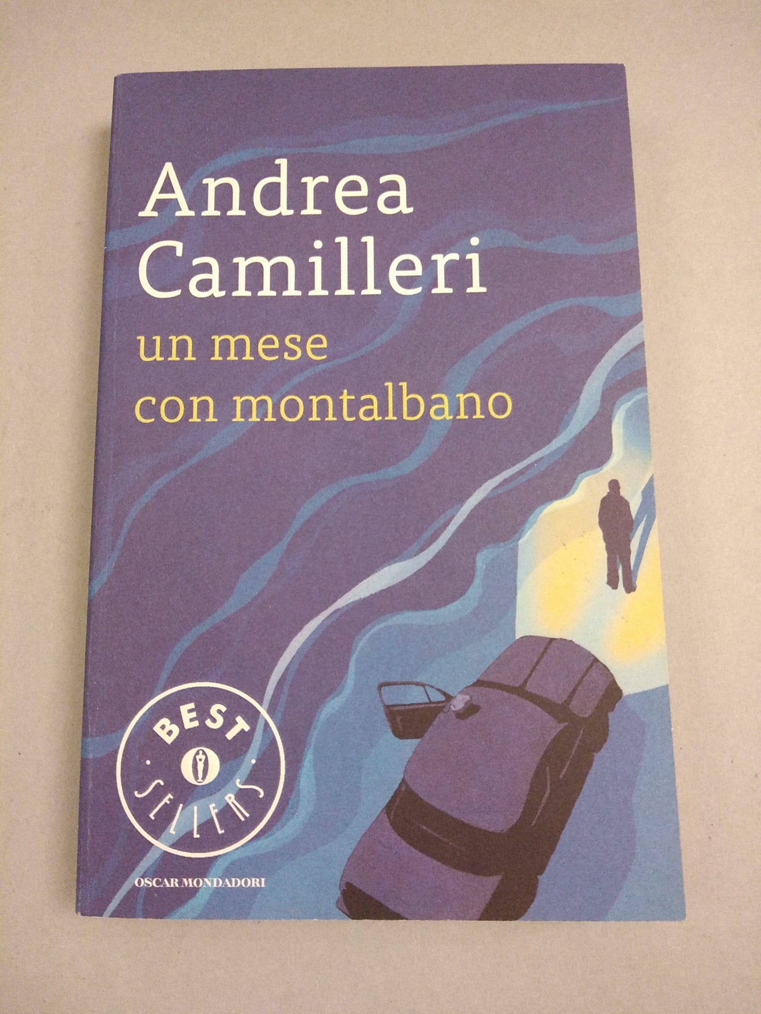 UN MESE CON MONTALBANO