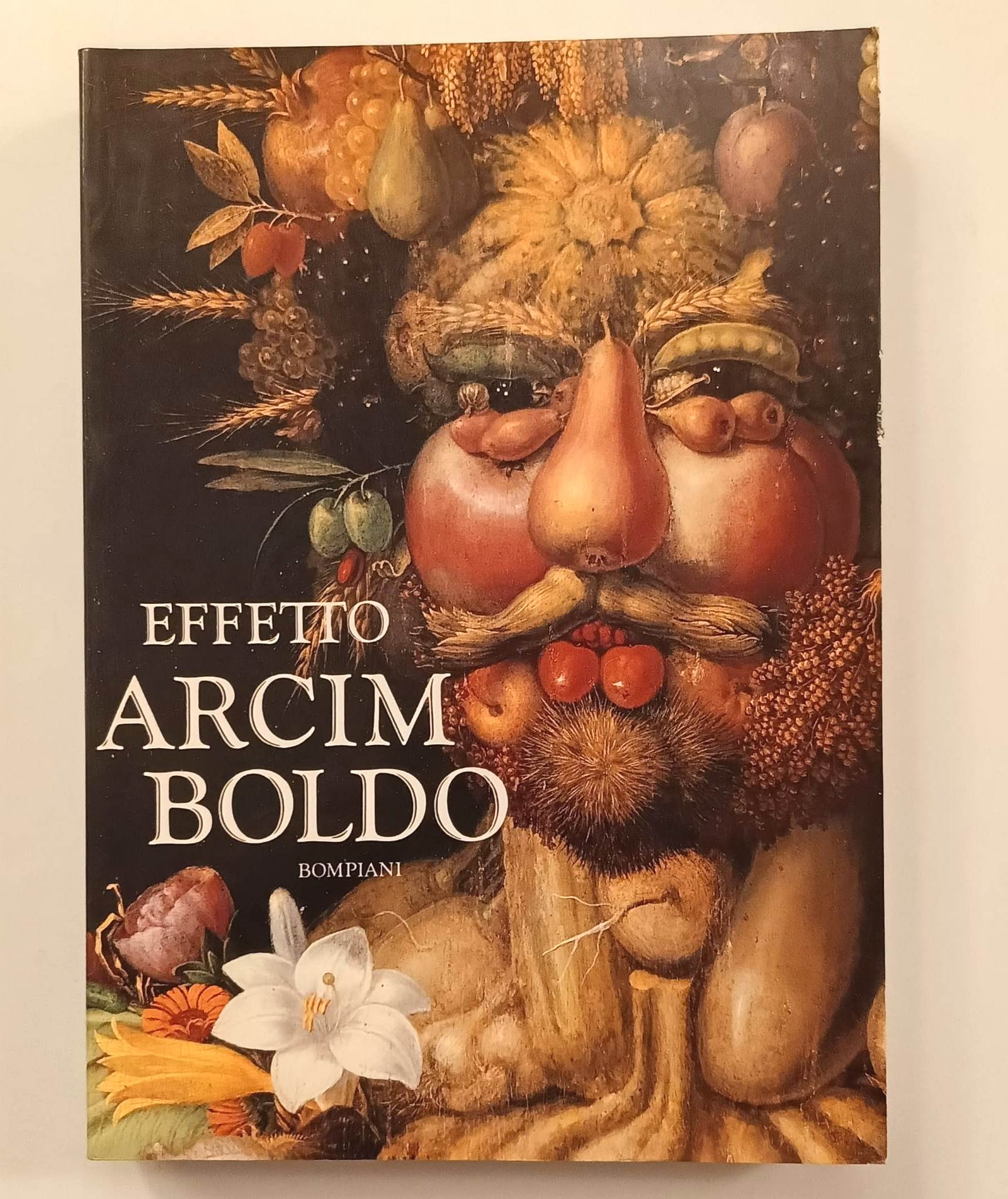 Effetto Arcimboldo. Trasformazioni del volto nel sedicesimo e nel ventesimo …