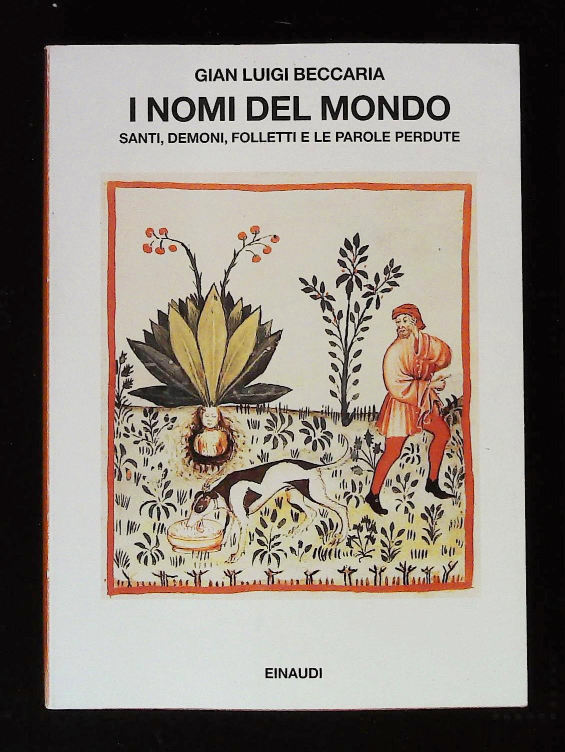 I nomi del mondo. Santi, demoni, folletti e le parole …