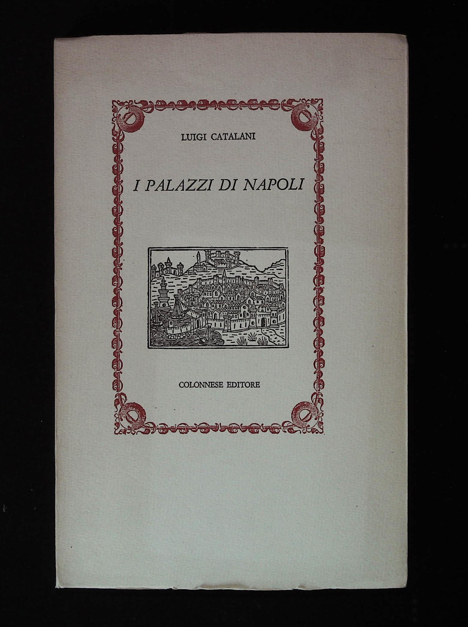 I palazzi di Napoli