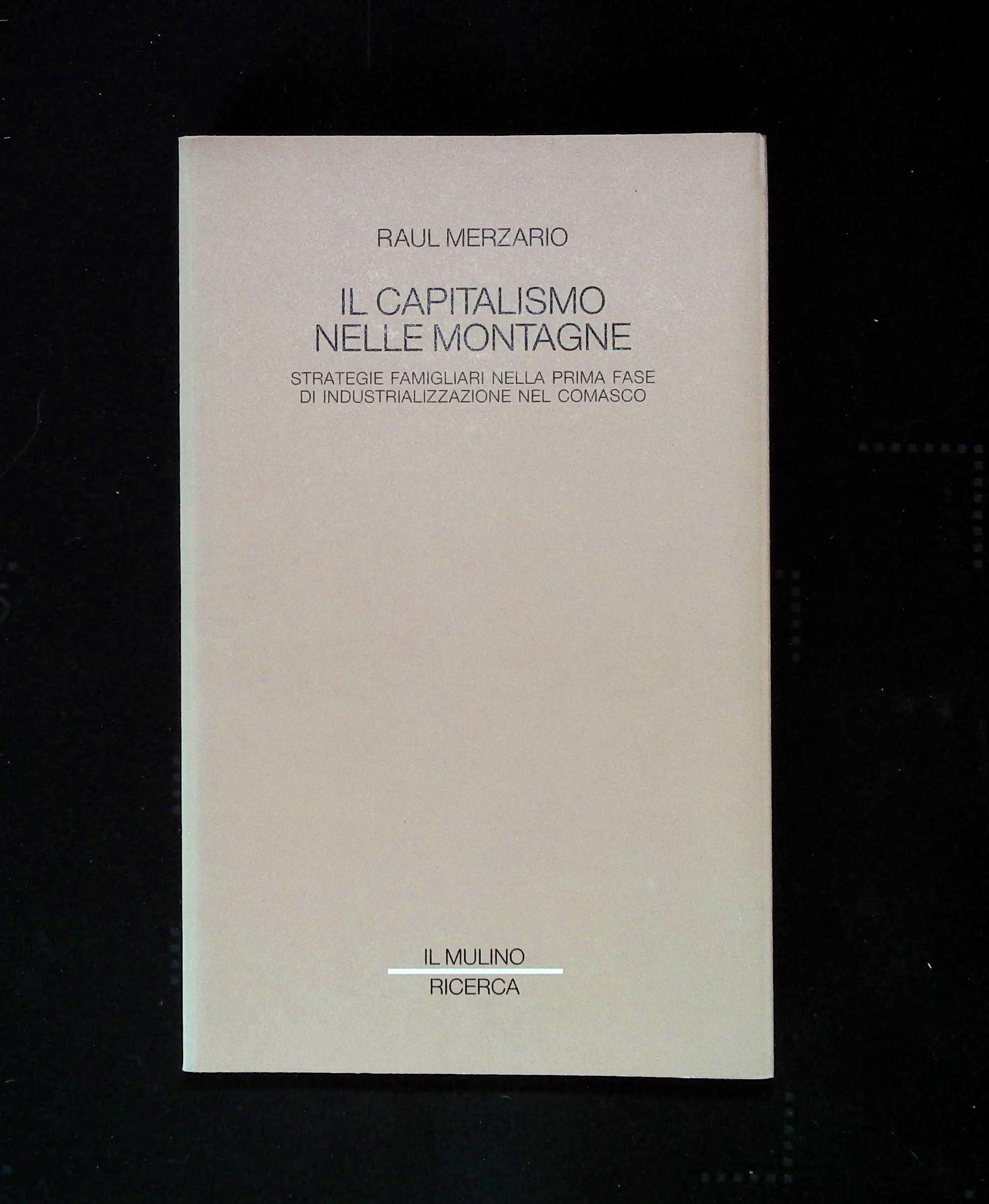 Il capitalismo nelle montagne. Strategie famigliari nella prima fase di …