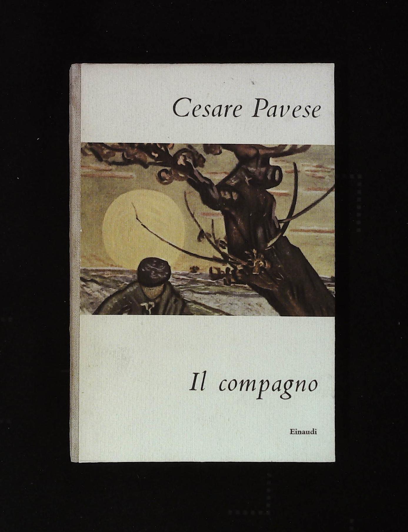 Il compagno