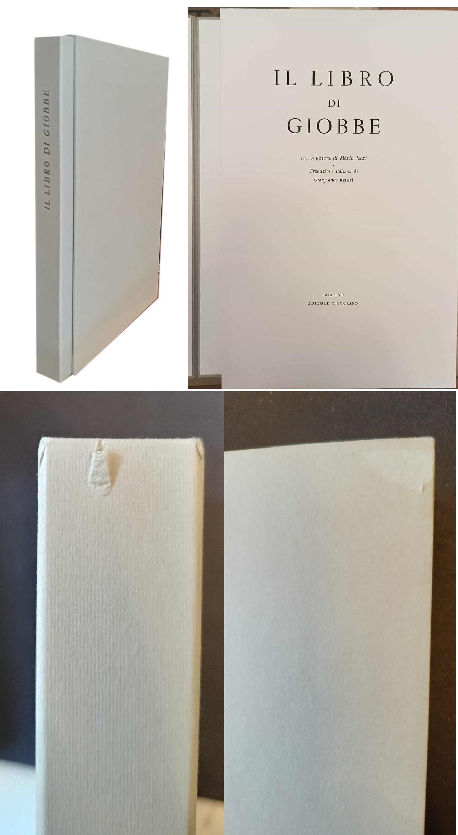 Il libro di Giobbe. Introduzione di Mario Luzi. Traduzione italiana …