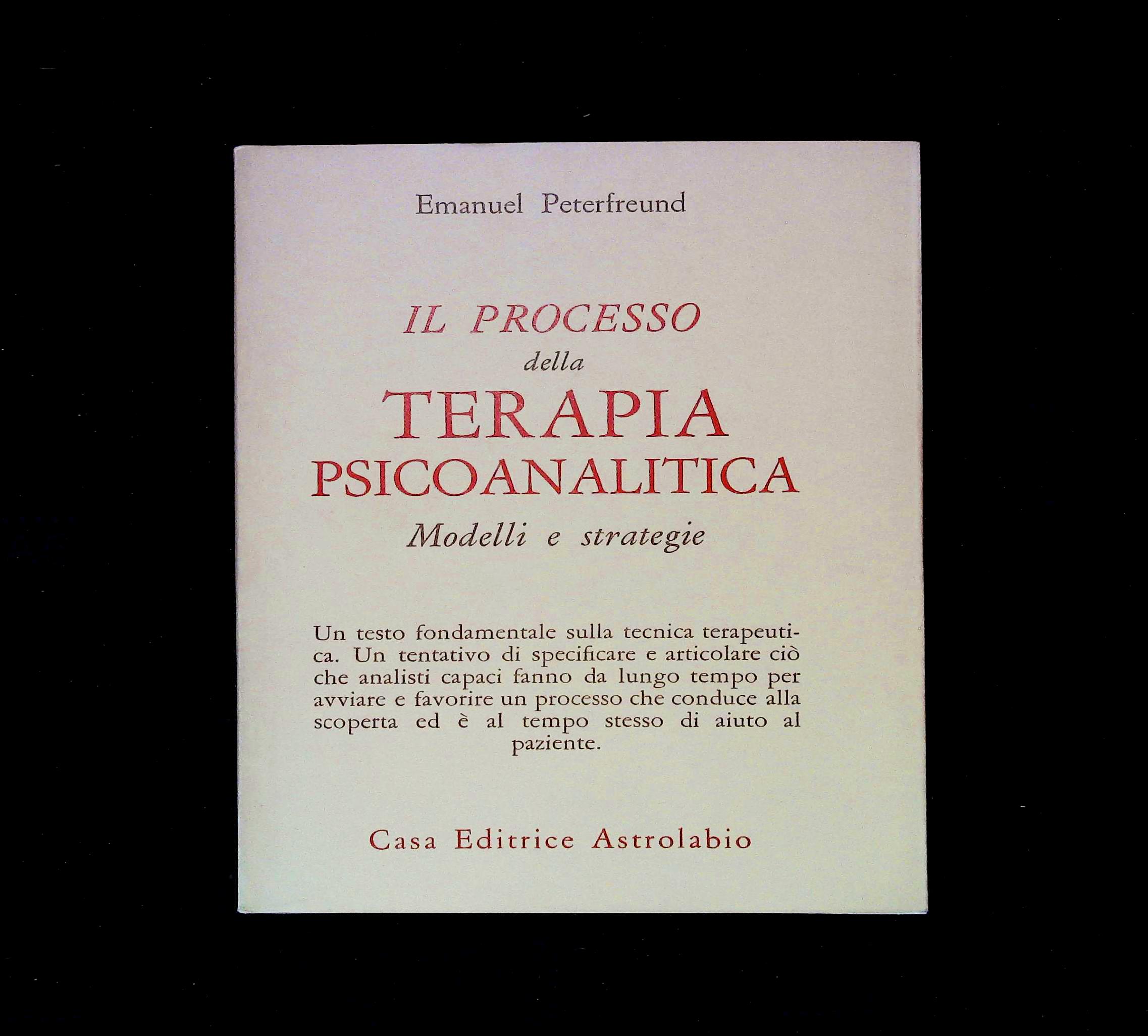Il processo della terapia psicoanalitica. Modelli e strategie
