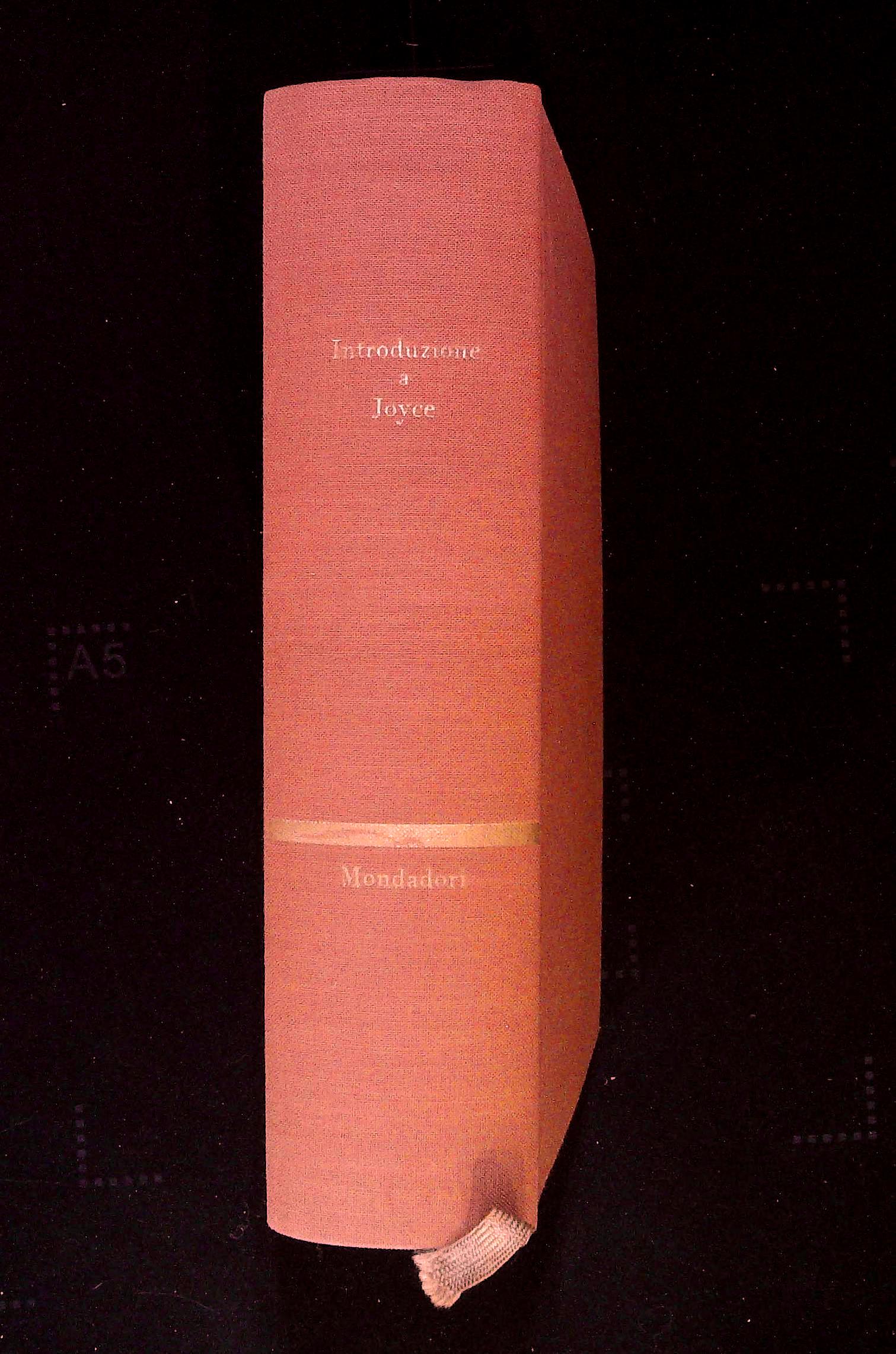 Introduzione a Joyce