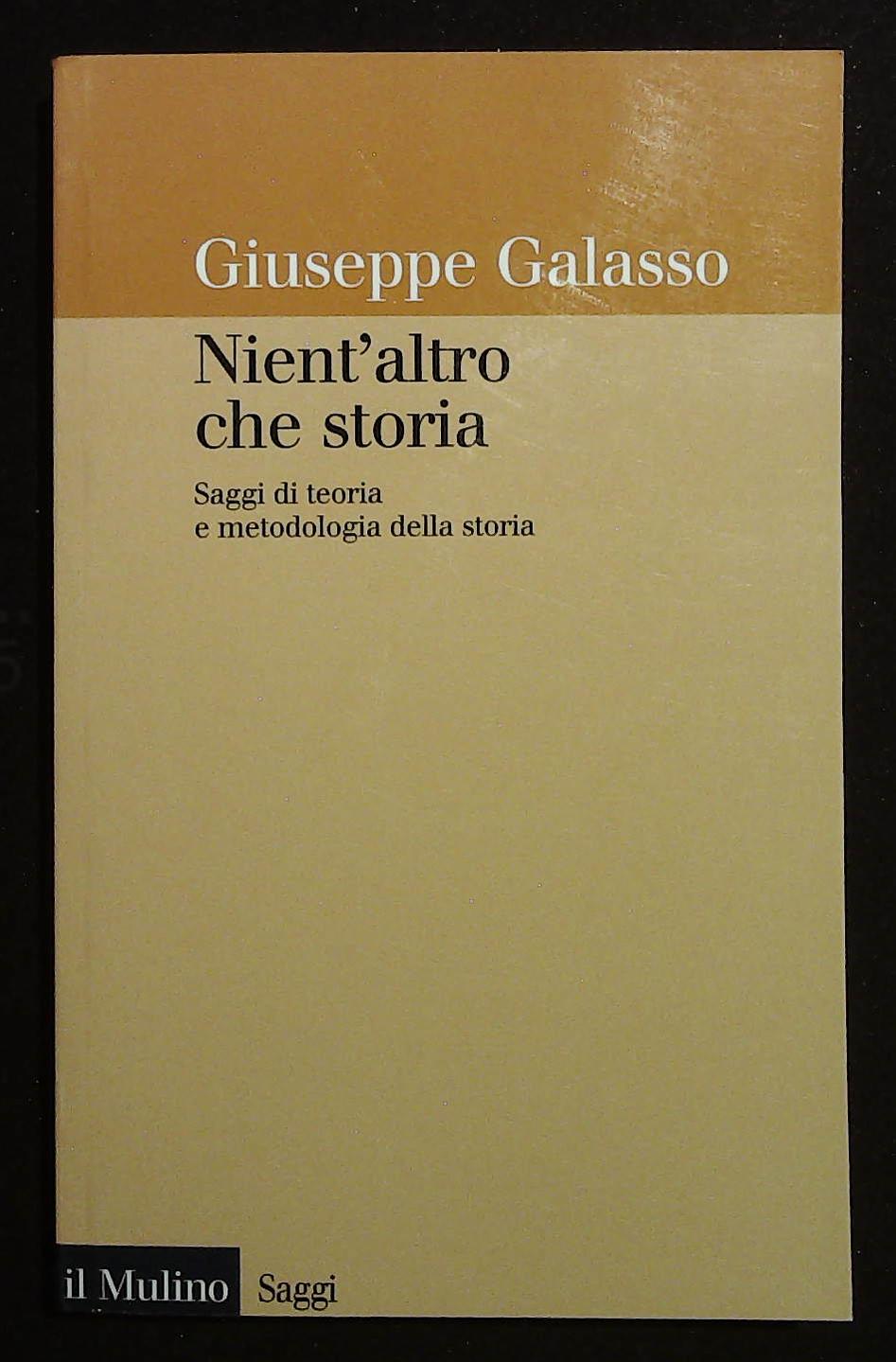 Nient'altro che storia. Saggi di teoria e metodologia della storia