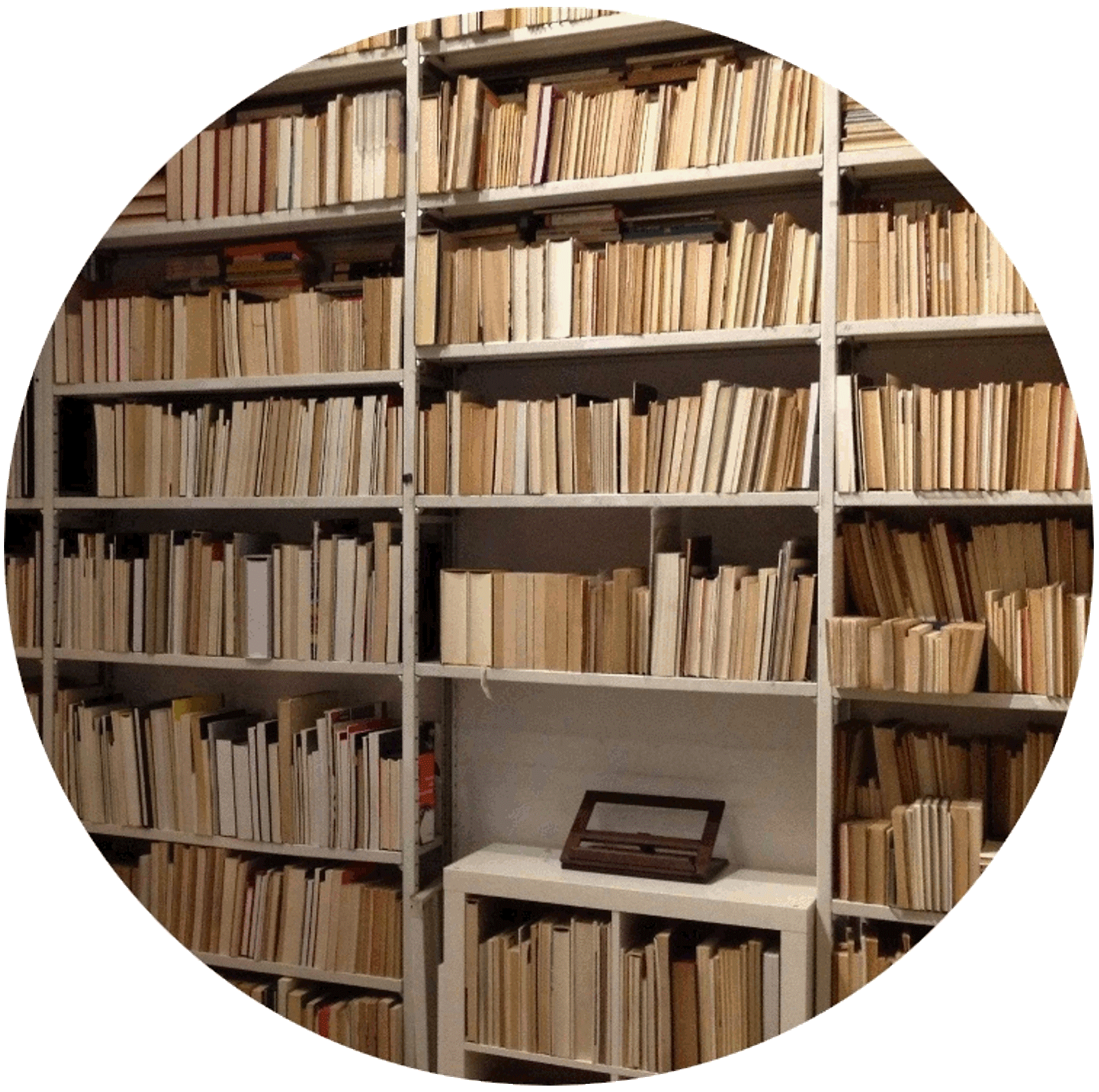 Seveso una tragedia italiana. Il fatto la foto