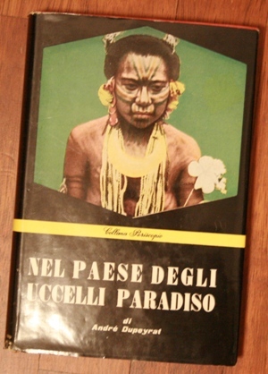 nel paese degli uccelli paradiso - Papuasia