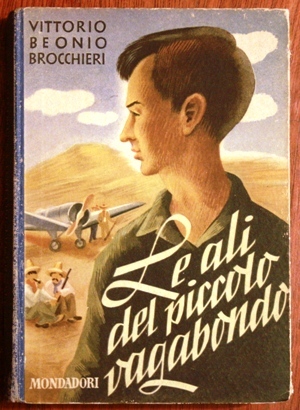 le ali del piccolo vagabondo