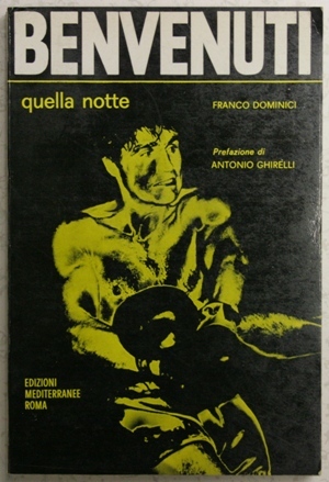 Benvenuti : quella notte