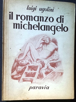 il romanzo di Michelangelo