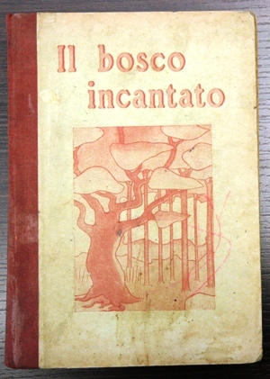 il bosco incantato