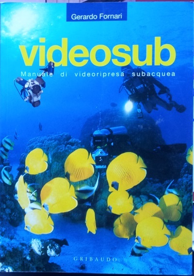 Videosub