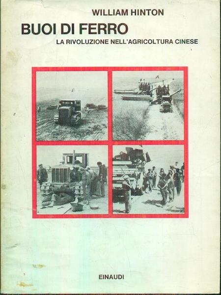 Buoi di ferro