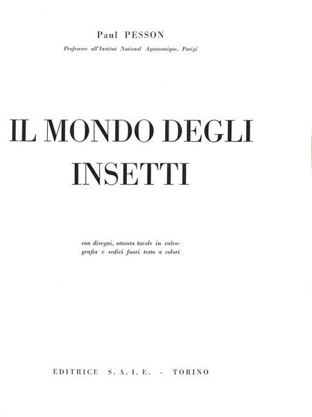 Il mondo degli insetti