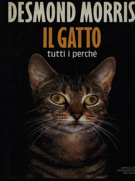 Il Gatto. Tutti i perche'
