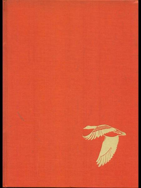 Gli uccelli