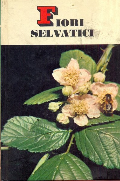 Fiori selvatici