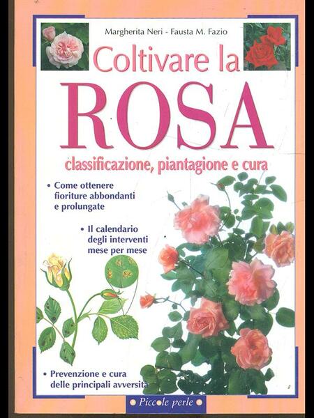 Coltivare la rosa