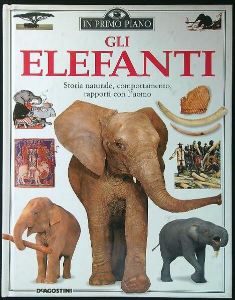 Gli elefanti