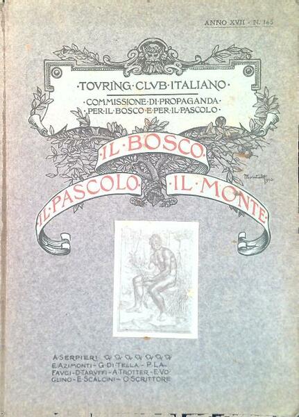 Il bosco, il pascolo, il monte N. 165/XVII
