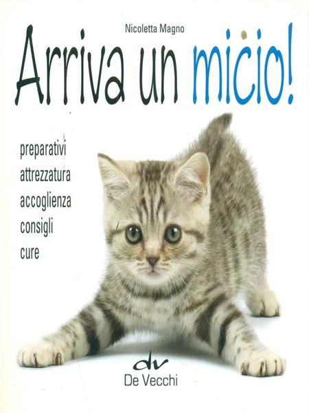 Arriva un micio!