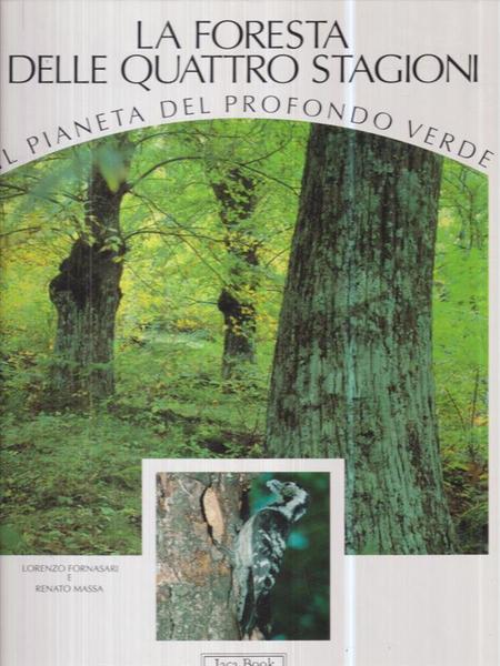 La foresta delle quattro stagioni