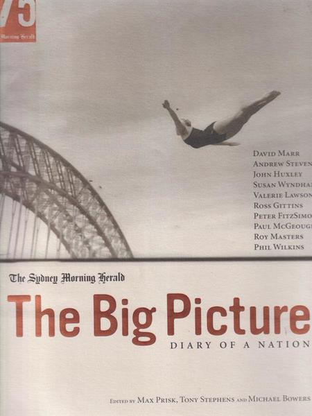 The Big Picture. Diary of a nation