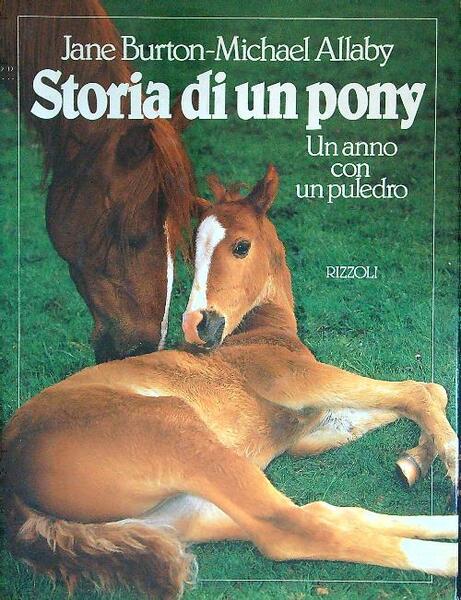 Storia di un pony